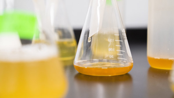 分散橙染料在不同纤维上的牢度表现如何？